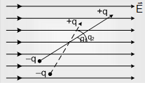 1040_Electric Dipole3.png